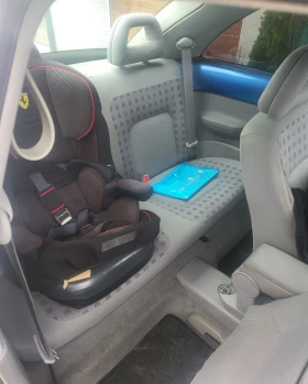 VW Beetle | Mobile.bg    11