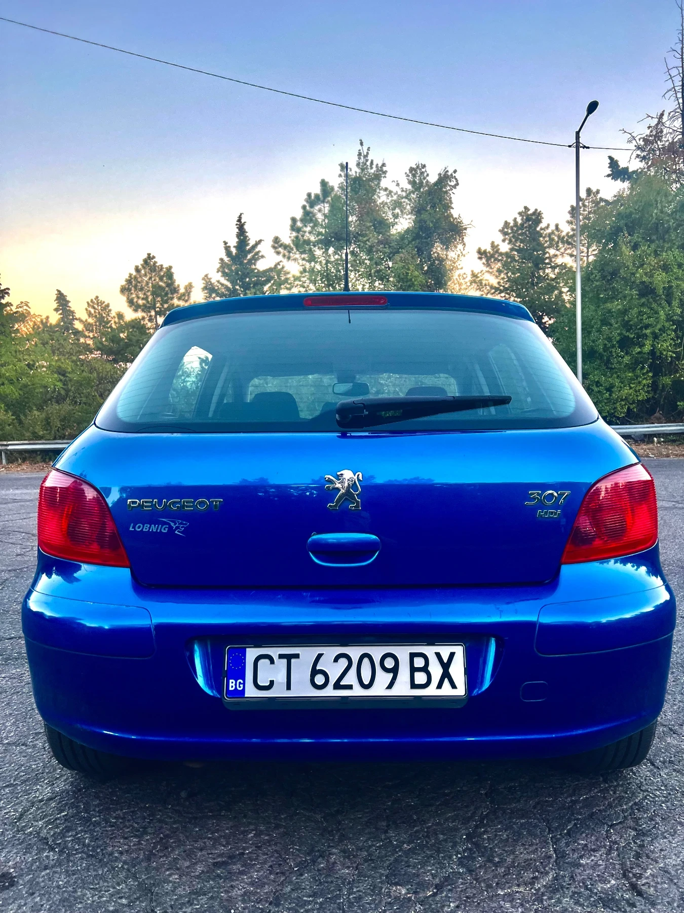 Peugeot 307 2.0hdi - изображение 5