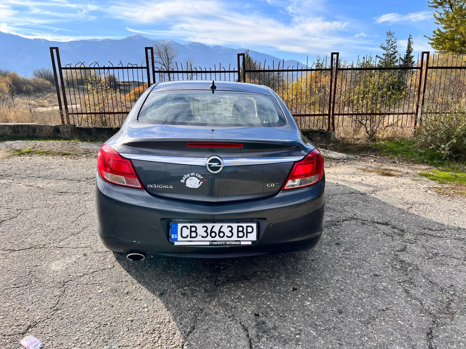 Opel Insignia 2.0 CDTI, снимка 2 - Автомобили и джипове - 55932121