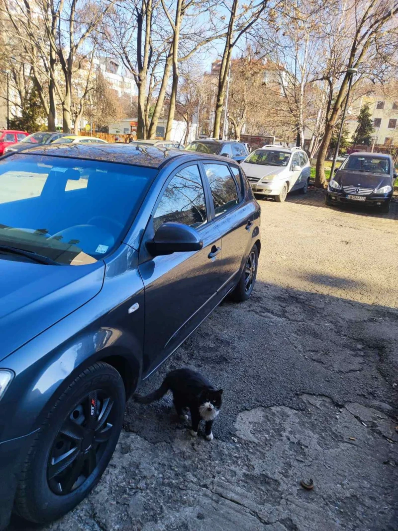 Kia Ceed, снимка 3 - Автомобили и джипове - 48412389