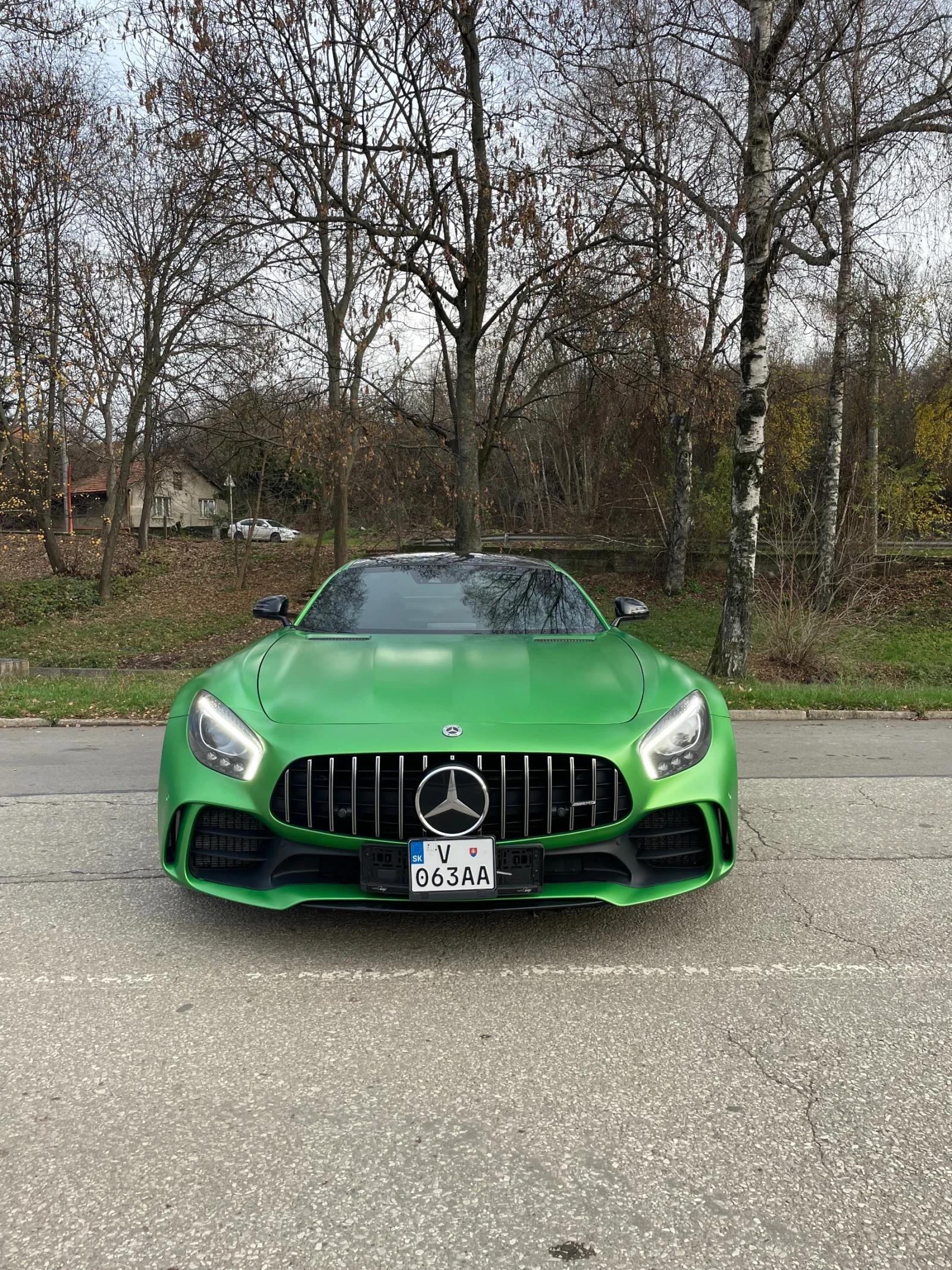 Mercedes-Benz AMG GT R Carbon/Ceramic - изображение 2