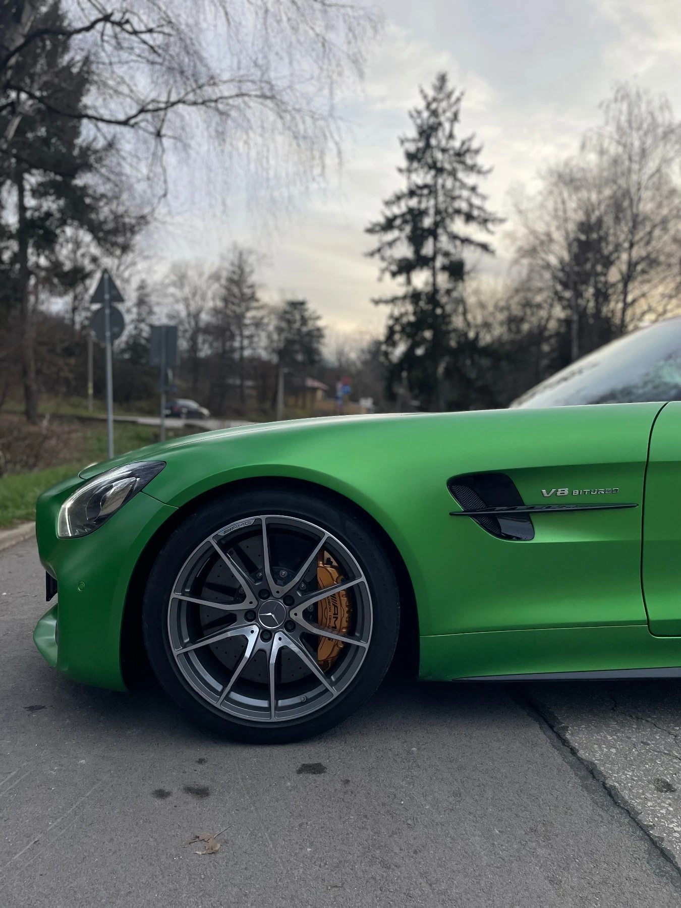 Mercedes-Benz AMG GT R Carbon/Ceramic - изображение 8
