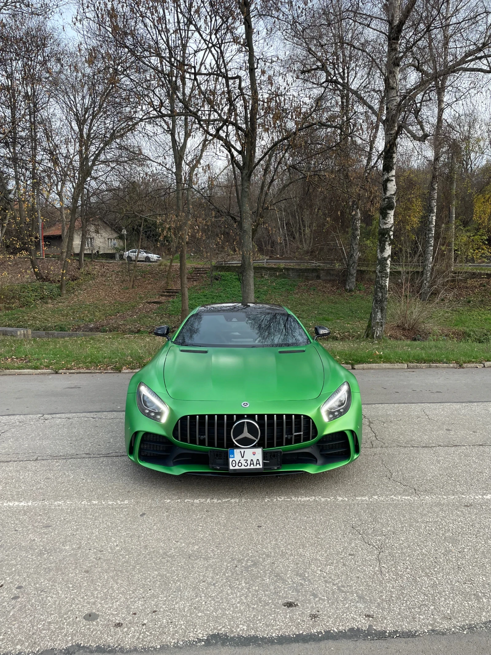 Mercedes-Benz AMG GT R Carbon/Ceramic | Mobile.bg   1