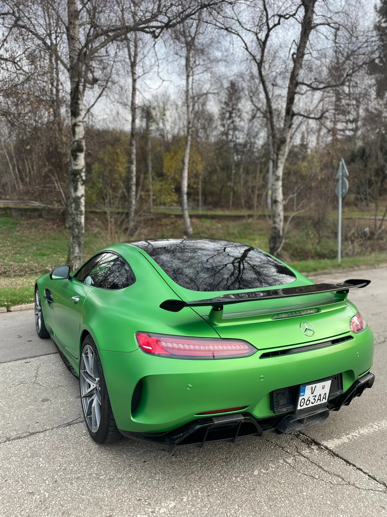 Mercedes-Benz AMG GT R Carbon/Ceramic - изображение 9