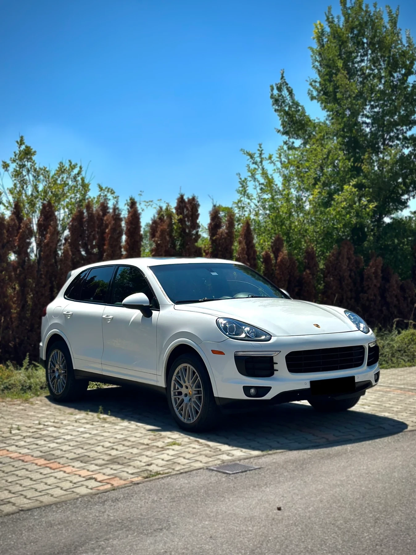 Porsche Cayenne 3.6 VR6 300 Platinum Edition 