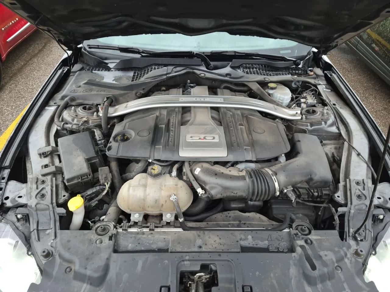 Ford Mustang * GT * CARFAX * ЦЕНА ДО БГ, снимка 15 - Автомобили и джипове - 54082328