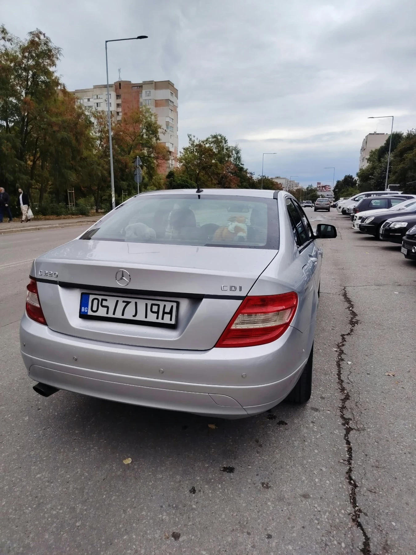 Mercedes-Benz C 220 РЕАЛНИ ДОКАЗУЕМИ 165 000 КМ, снимка 3 - Автомобили и джипове - 56235017