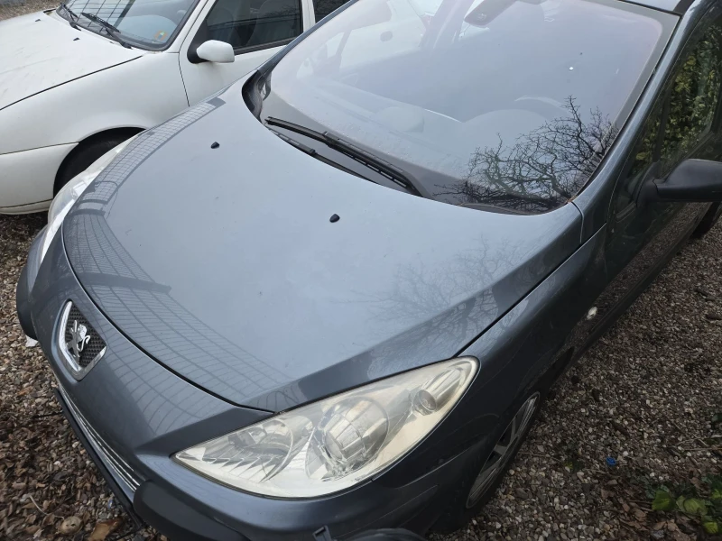 Peugeot 307, снимка 1 - Автомобили и джипове - 49610637