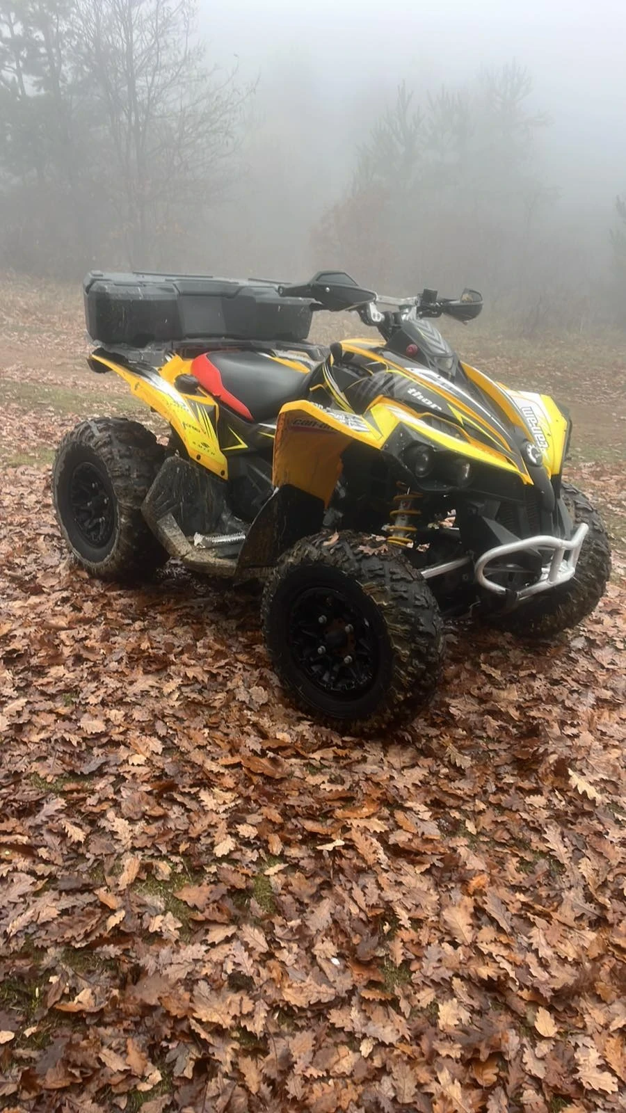 Can-Am Renеgade 800, снимка 1