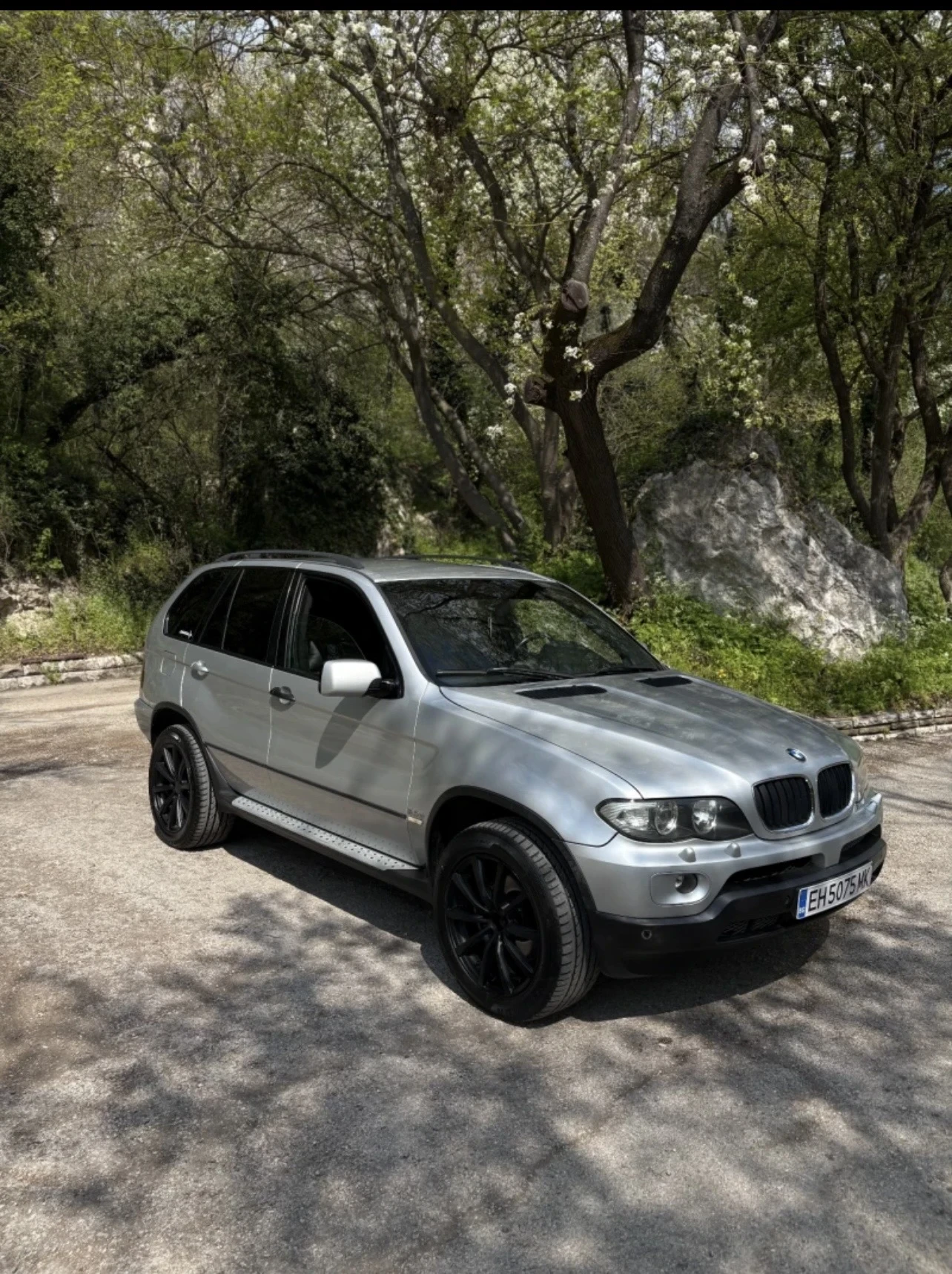 BMW X5, снимка 3 - Автомобили и джипове - 55756045
