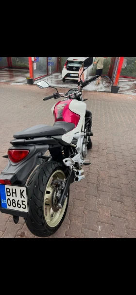 Suzuki Gladius, снимка 3