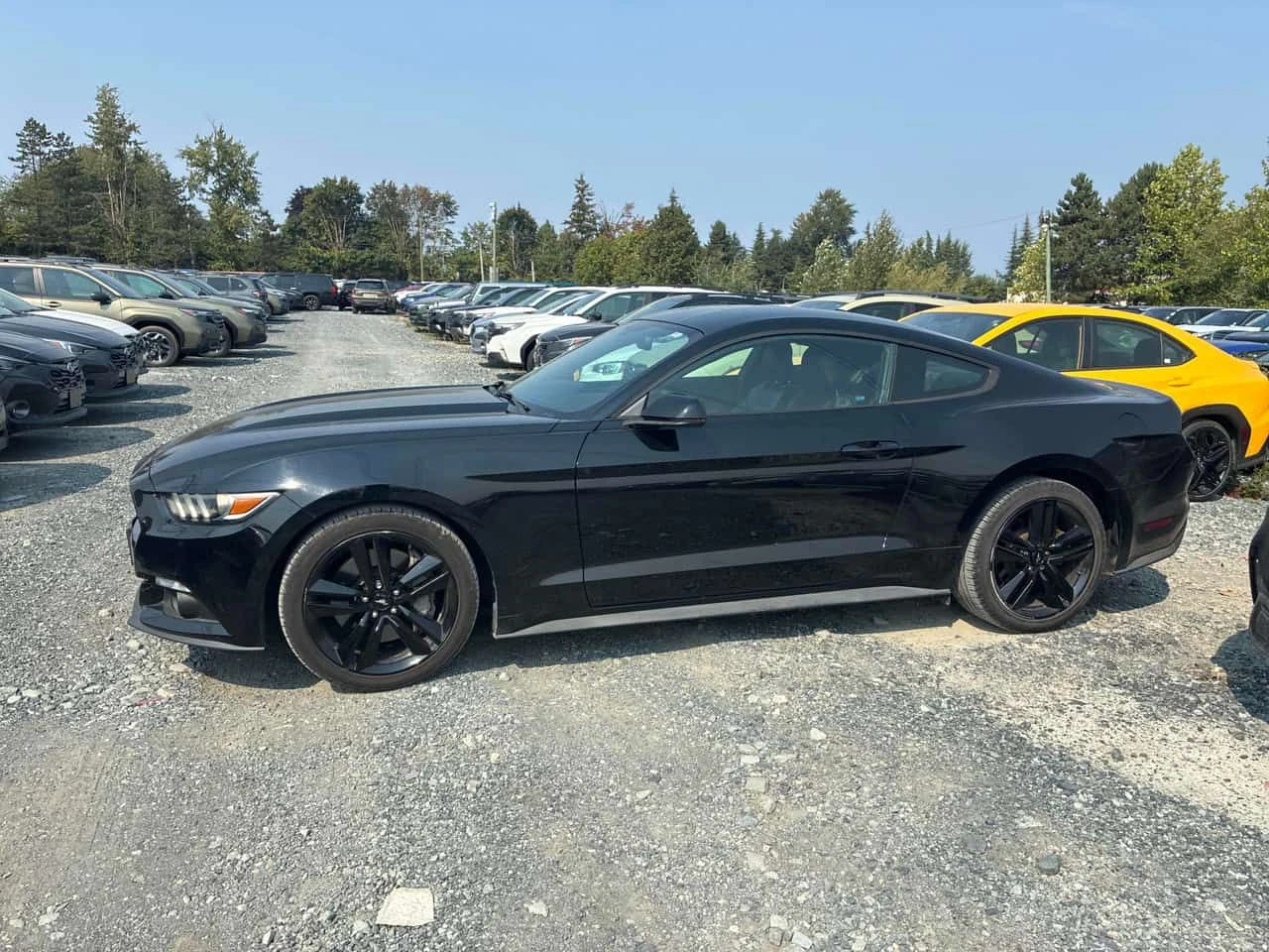 Ford Mustang * EcoBoost * CARFAX * ОПЦИЯ ЗА ФИНАНСИРАНЕ , снимка 14 - Автомобили и джипове - 55702336