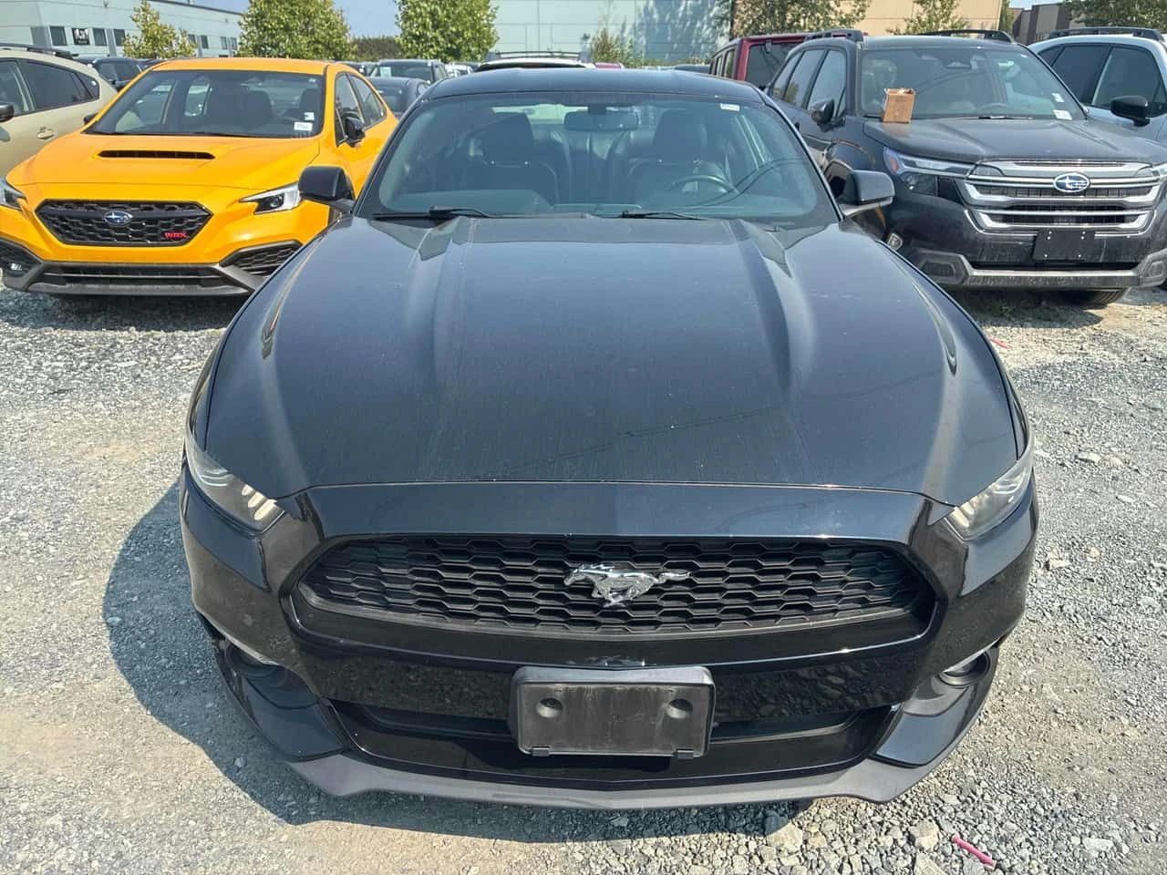 Ford Mustang * EcoBoost * CARFAX * ОПЦИЯ ЗА ФИНАНСИРАНЕ , снимка 6 - Автомобили и джипове - 55702336