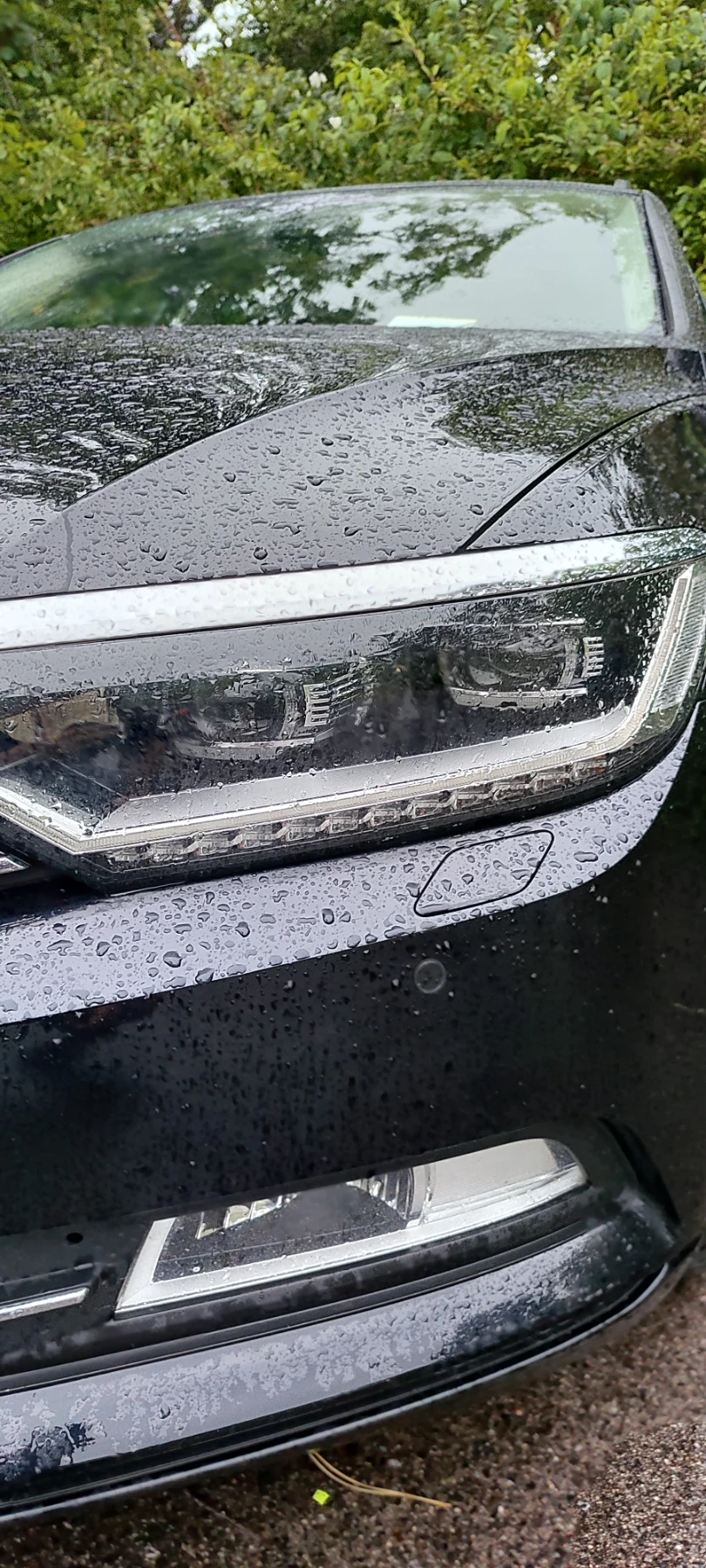 VW Passat 1.6 TDI - изображение 3