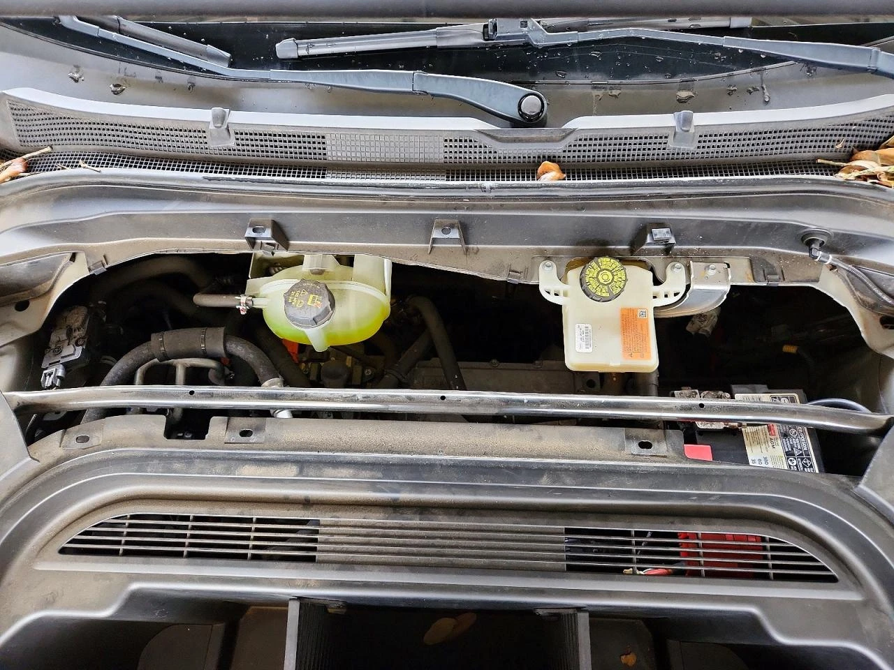 Ford Mustang Mach-E Select | Mobile.bg � ����������� 12
