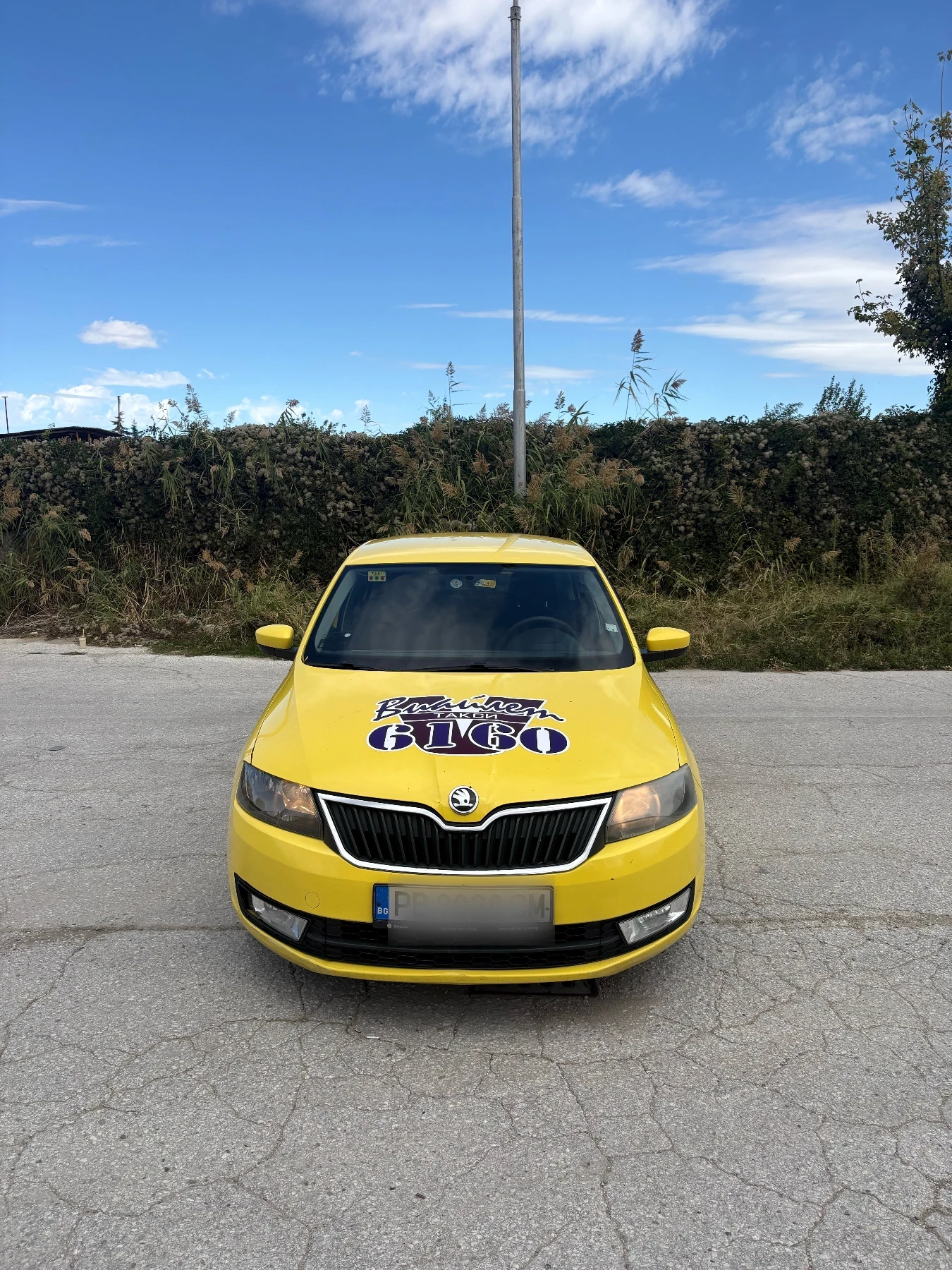Skoda Rapid