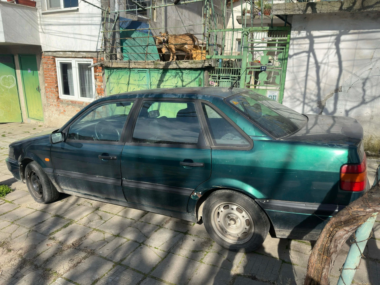VW Passat