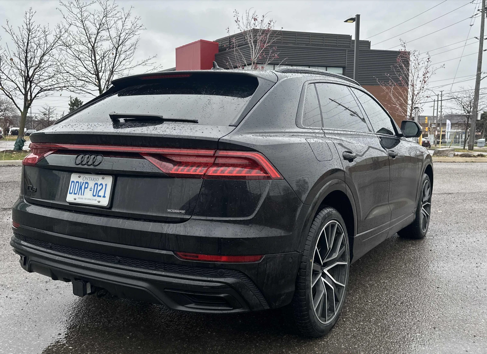 Audi Q8 Progressiv - изображение 10