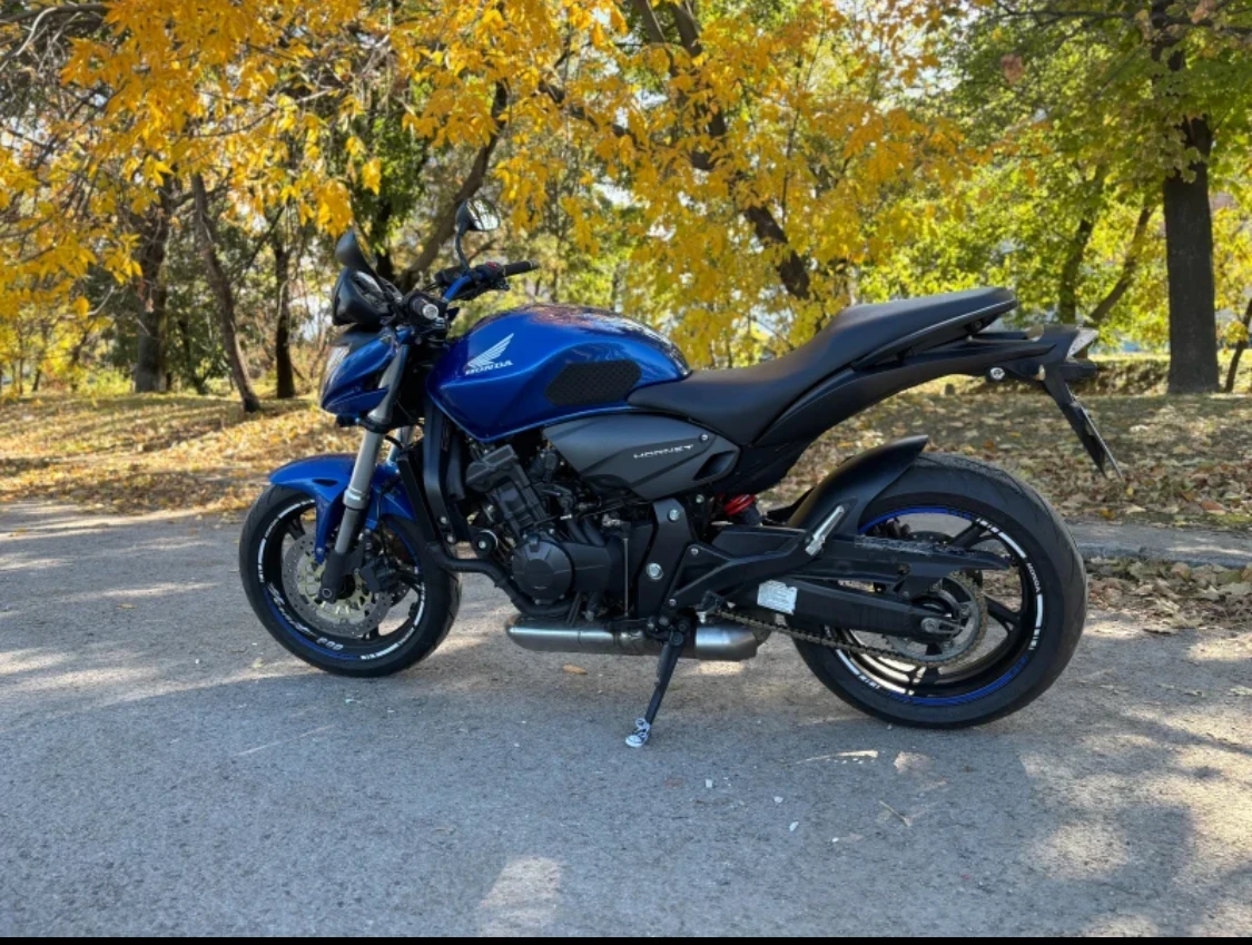 Honda Hornet
