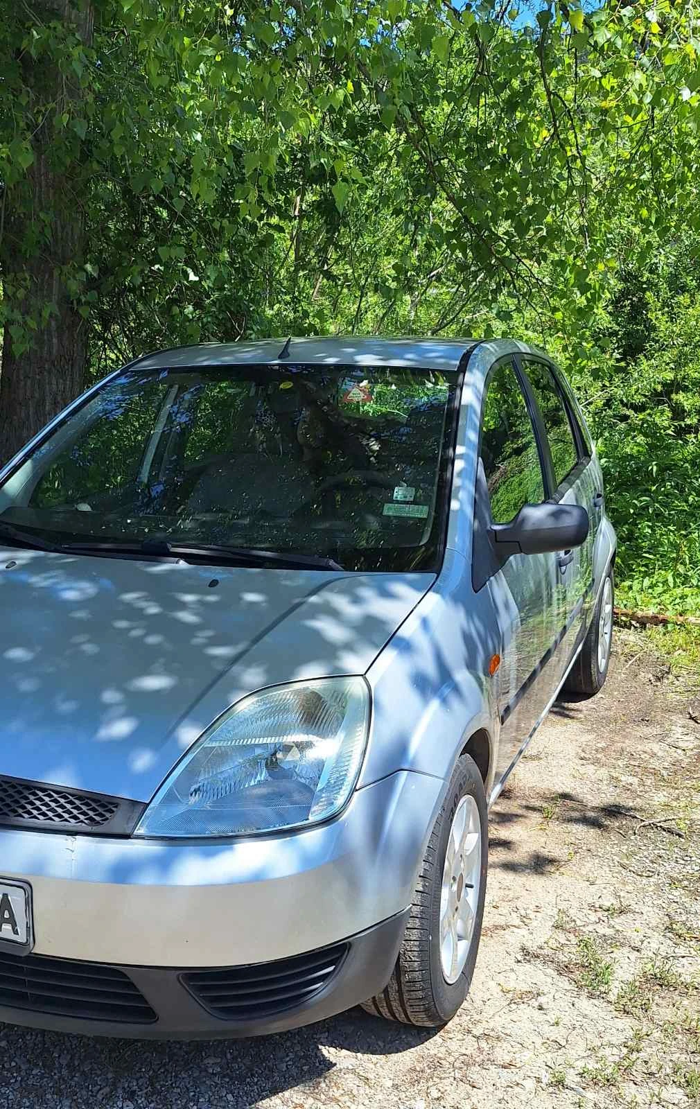 Ford Fiesta 1.4TDCi - изображение 6