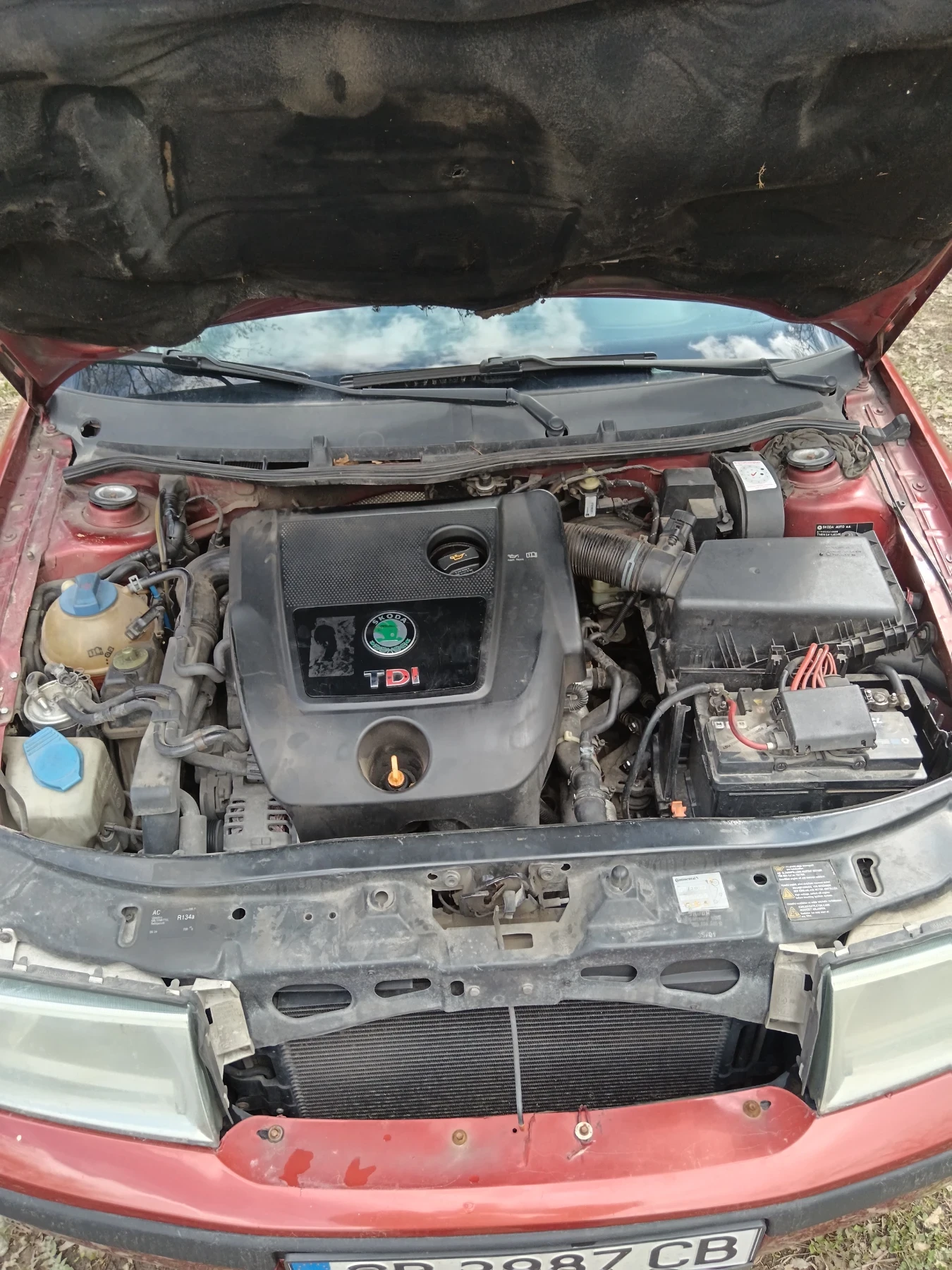 Skoda Octavia, снимка 7 - Автомобили и джипове - 54157328