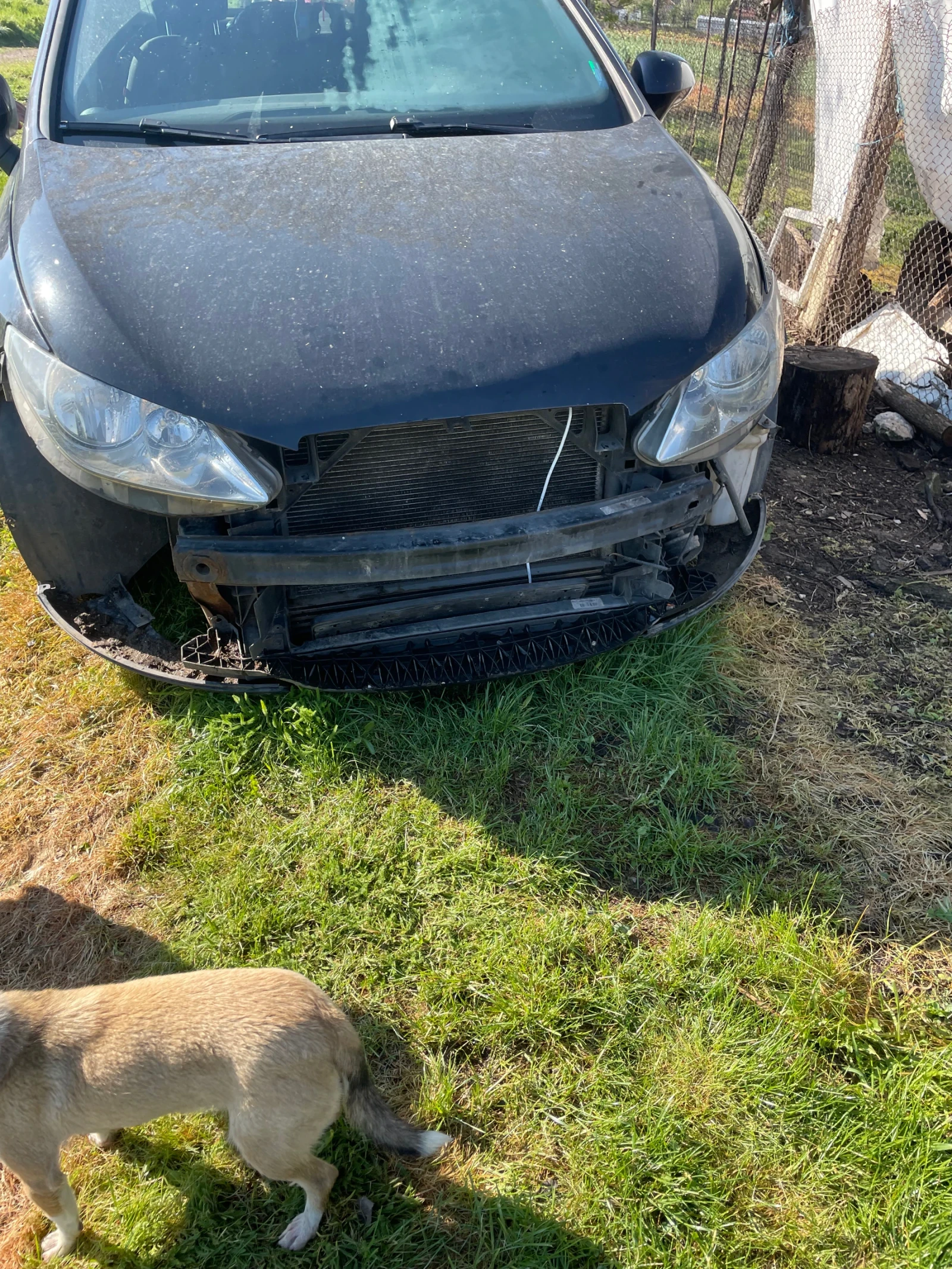Seat Ibiza Ibiza, снимка 9 - Автомобили и джипове - 54170069