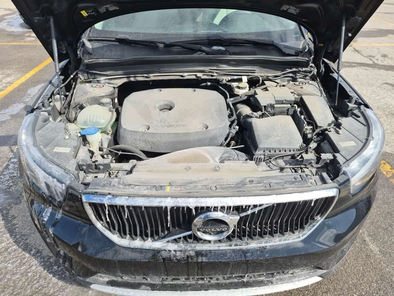 Volvo XC40 MOMENTUM| PANORAMA| 2 �����| CARFAX  | Mobile.bg � ����������� 5