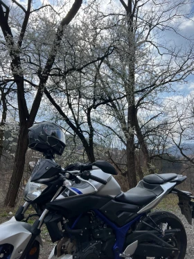 Yamaha Mt-03 A2, снимка 4