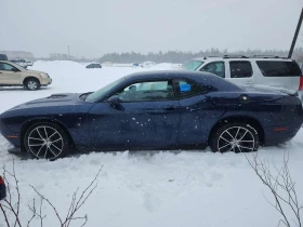 Dodge Challenger 6.4L SCAT PACK SHAKER * CARFAX *  - 19999 € / 39114.64 лв. - 70344754 4