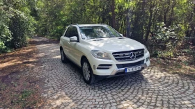 Mercedes-Benz ML 350 Ml 350 Bluetec 4 Matic, снимка 1