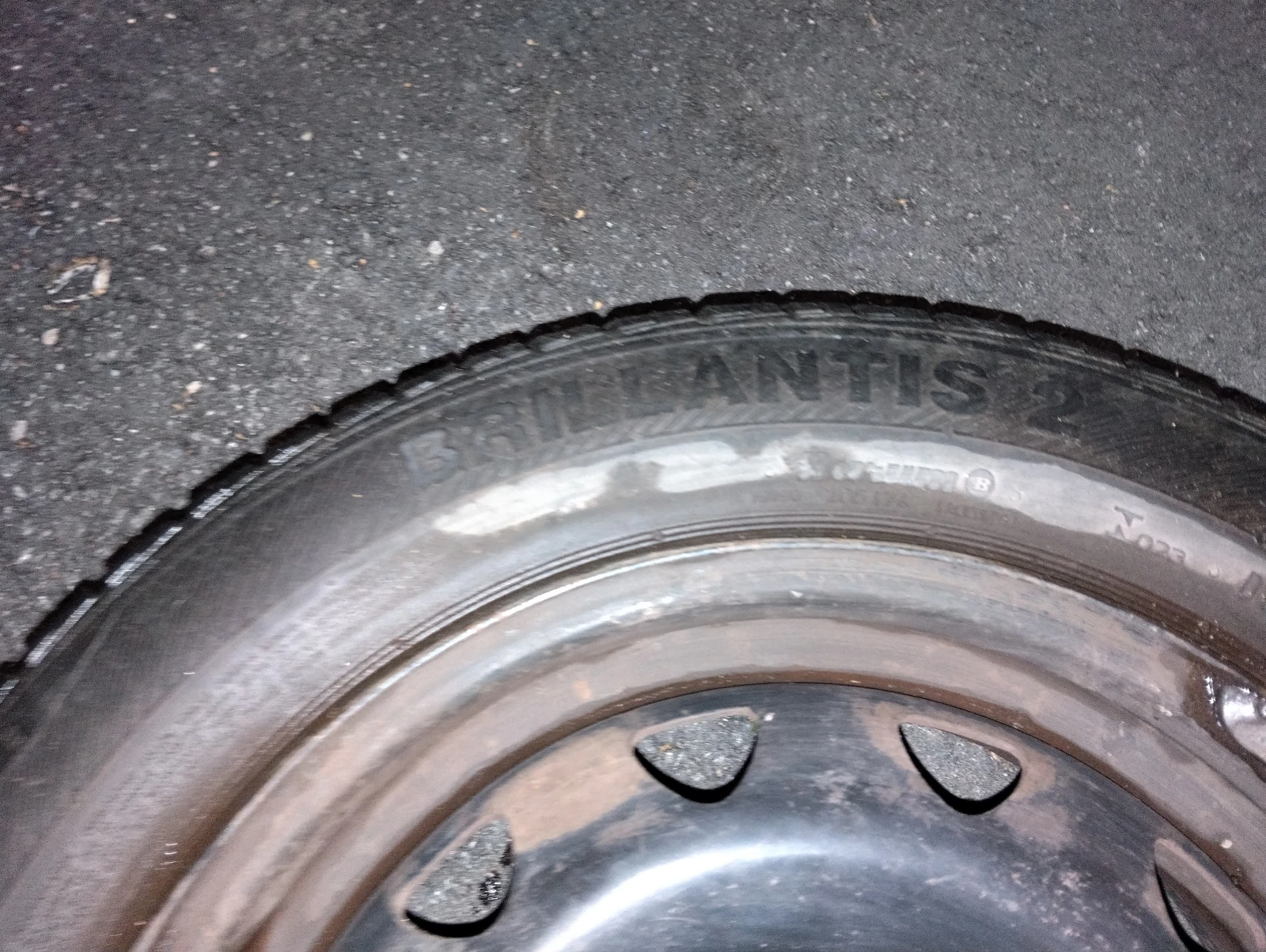 ���� � ������ 165/65R14 �� Fiat Punto | Mobile.bg � ����������� 7