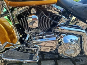Harley-Davidson Softail DELUXE GOLD CHICANO ABS | Mobile.bg    14