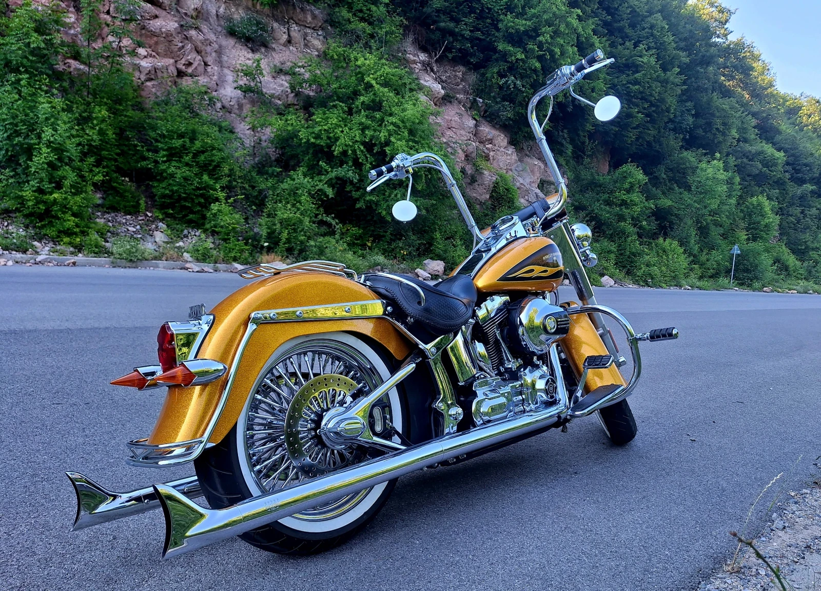 Harley-Davidson Softail DELUXE GOLD CHICANO ABS - изображение 8