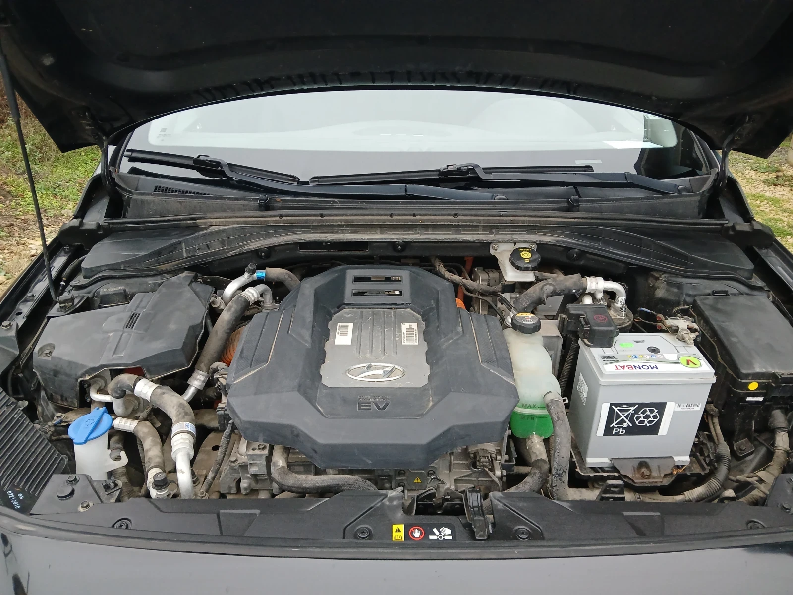 Hyundai Ioniq  - изображение 6