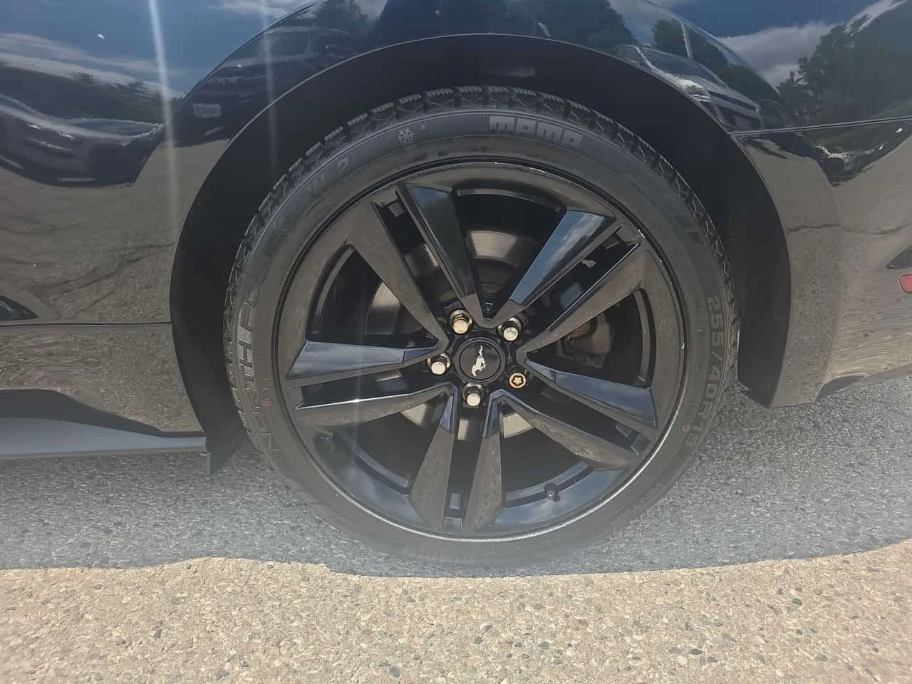 Ford Mustang * EcoBoost * CARFAX * ��� ������������ ������ | Mobile.bg � ����������� 15