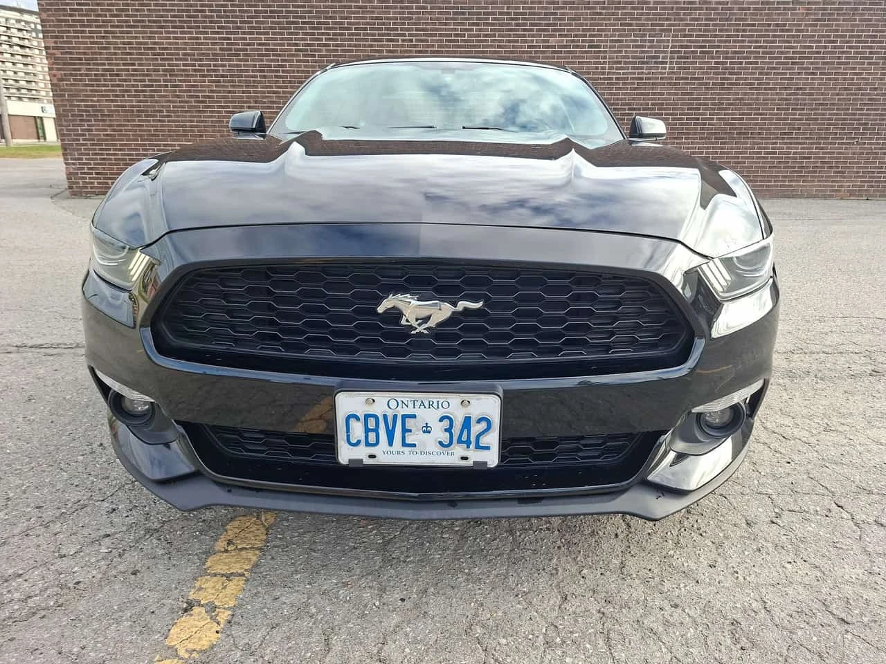 Ford Mustang * EcoBoost * CARFAX * ��� ������������ ������ | Mobile.bg � ����������� 6