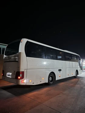 Man Lion S Classic Lions coach | Mobile.bg    2