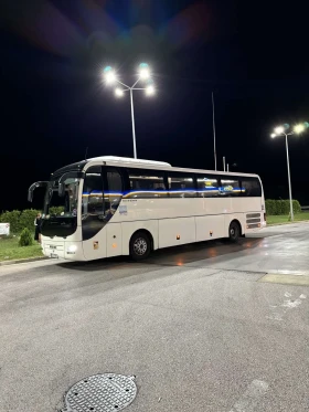 Man Lion S Classic Lions coach | Mobile.bg    6