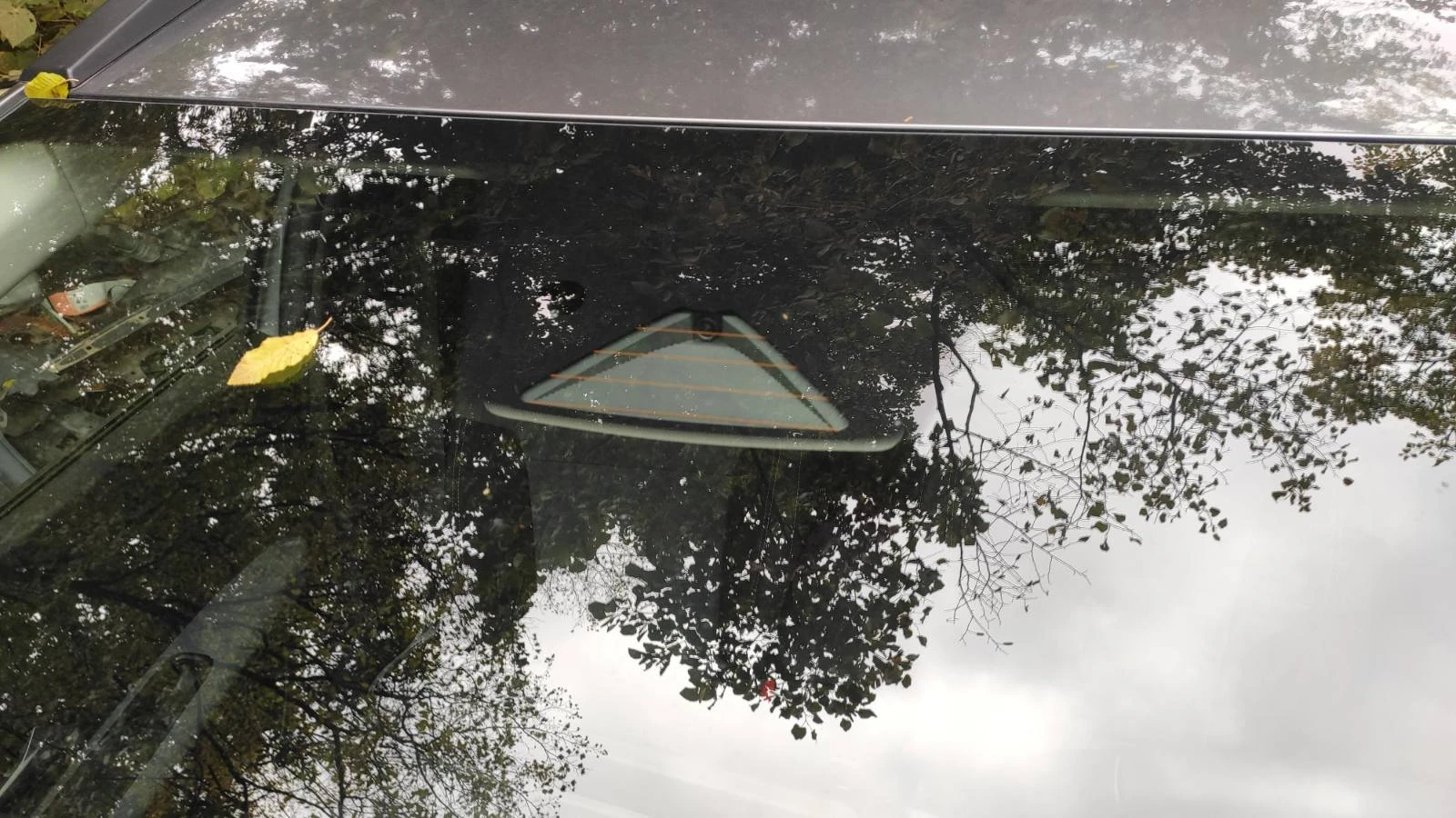 Dacia Jogger 1.0 i +  | Mobile.bg   13