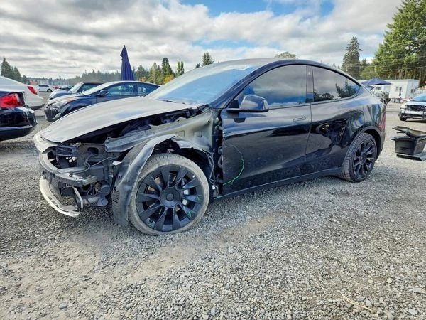 Tesla Model Y, снимка 2 - Автомобили и джипове - 56117595