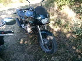 Yamaha XJ6 Diversion  | Mobile.bg    3