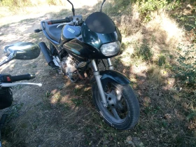 Yamaha XJ6 Diversion  | Mobile.bg    4