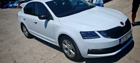 Skoda Octavia - 17000 € / 33249.11 лв. - 15415538 2