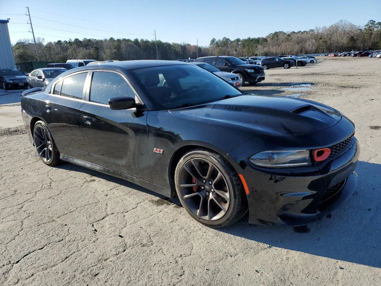 Dodge Charger SCAT PACK/6.4l/ПАНОРАМА/ВИДЕО НА МОТОРА - изображение 3