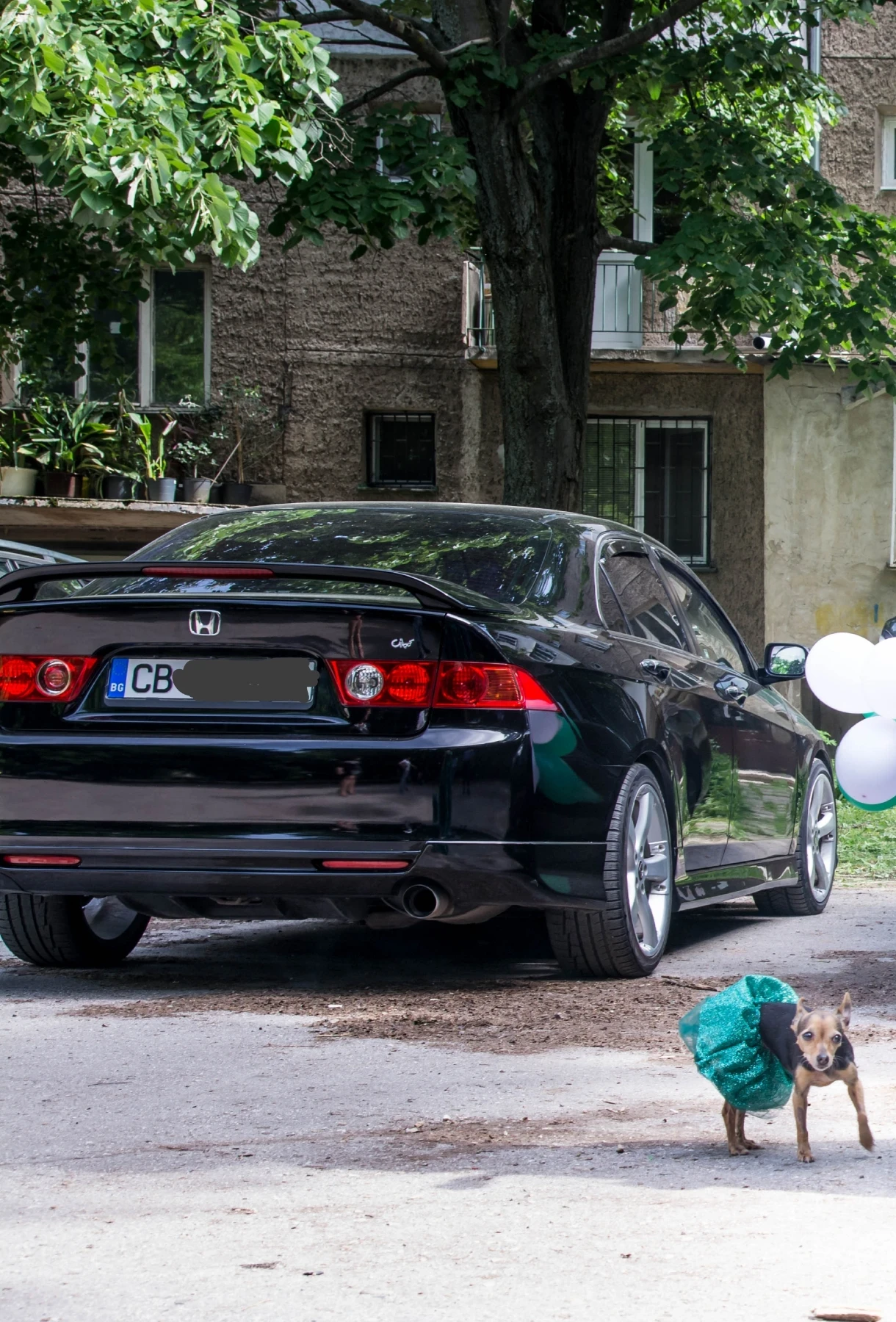 Honda Accord  - изображение 10
