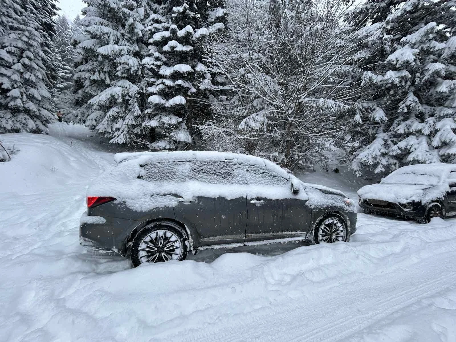 Infiniti QX60  AWD/ 7 местен/ камери 360 / Distronic, снимка 8 - Автомобили и джипове - 53699122