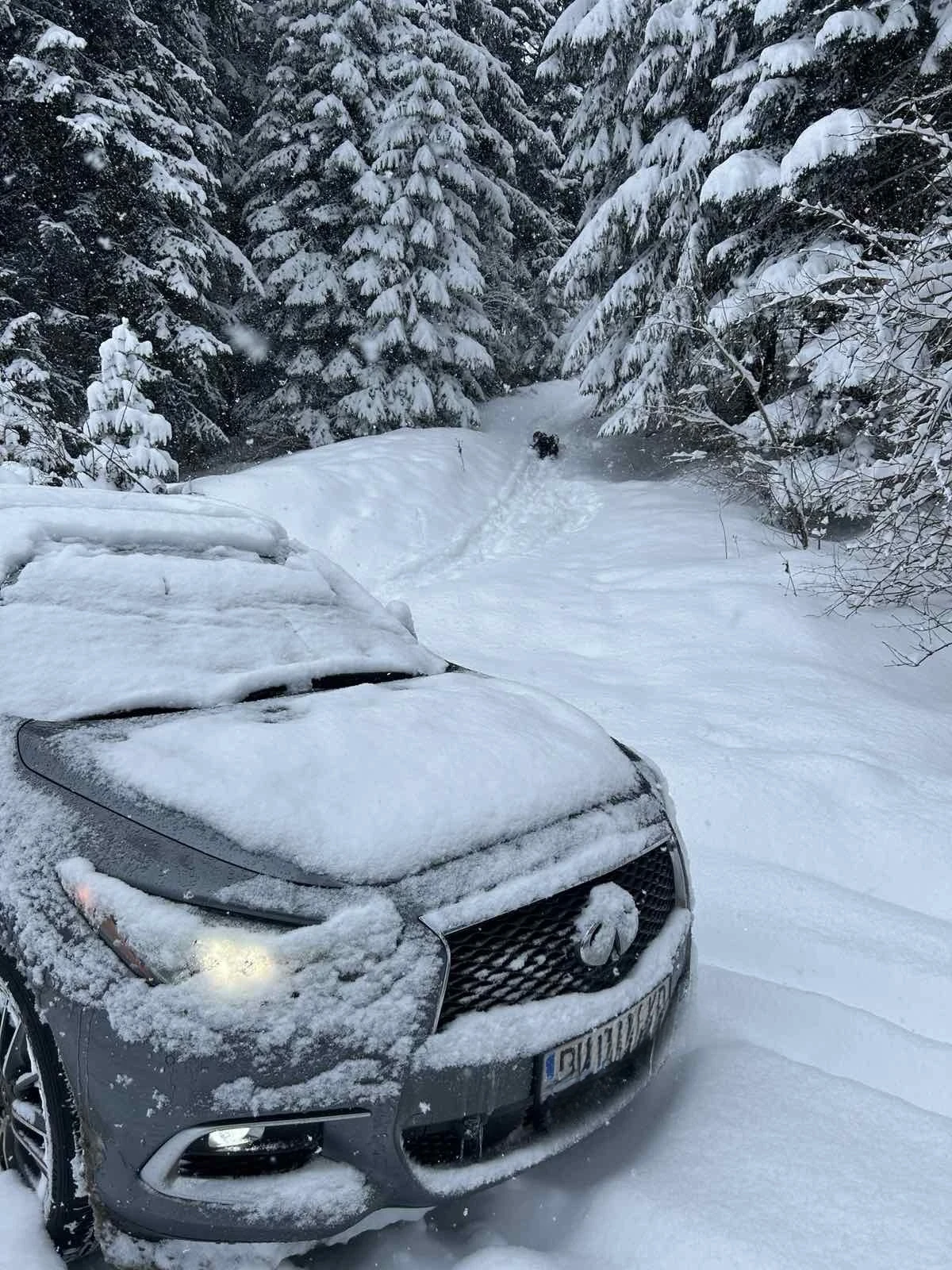 Infiniti QX60  AWD/ 7 местен/ камери 360 / Distronic, снимка 9 - Автомобили и джипове - 53699122