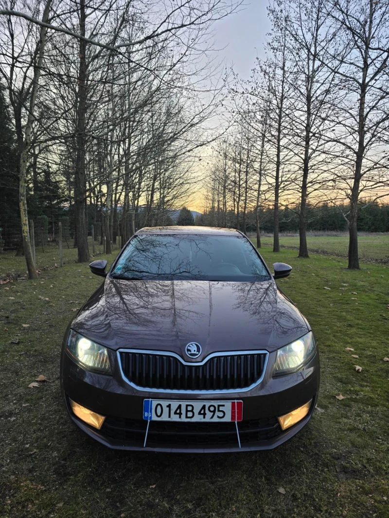 Skoda Octavia 1.6tdi DSG Нави Кожа Ксенон - 16998 лв. - 48844869 | Car24.bg