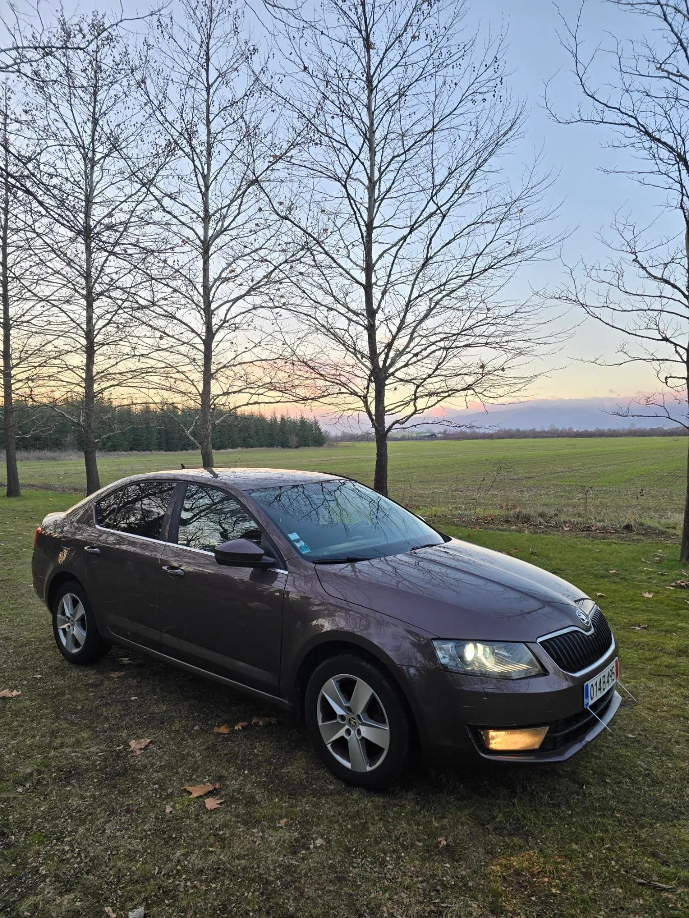 Skoda Octavia 1.6tdi DSG Нави Кожа Ксенон - изображение 3