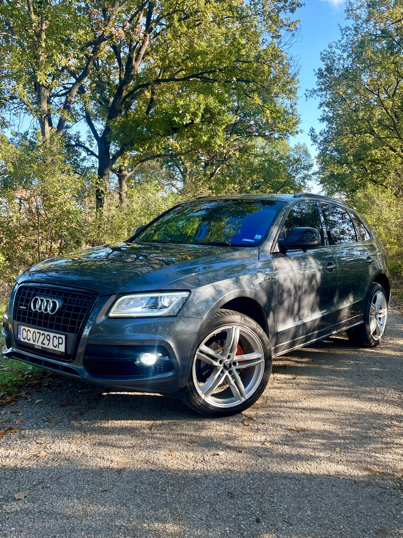 Audi Q5 Black Edition S-line 2.0 TDi 170kc 4x4  | Mobile.bg — изображение 11